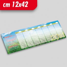 Planning 12X42 Planning 12X42