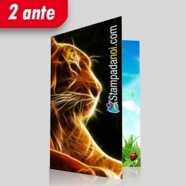 Pieghevoli 2 ante Pieghevoli 2 ante